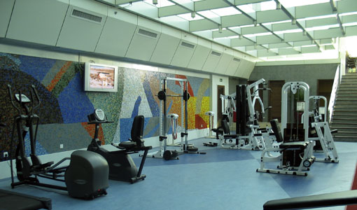 Sports & Recreation